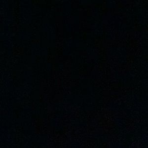 Meet your Posher, Albert